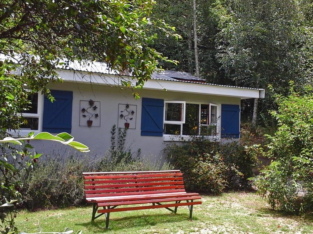 Maple Grove Villa Hogsback Ngoại thất bức ảnh
