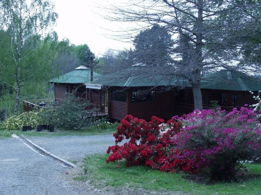 Maple Grove Villa Hogsback Ngoại thất bức ảnh