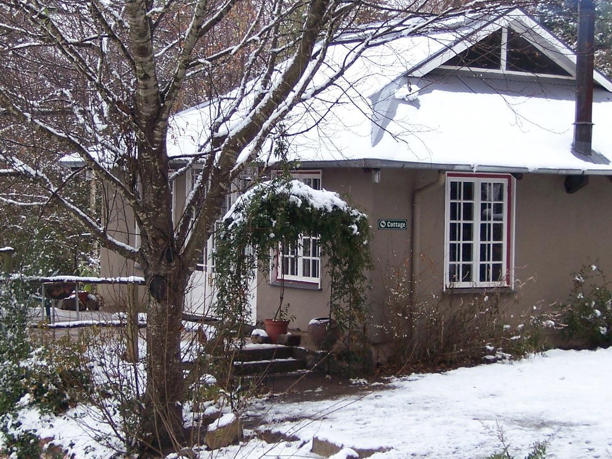 Maple Grove Villa Hogsback Ngoại thất bức ảnh