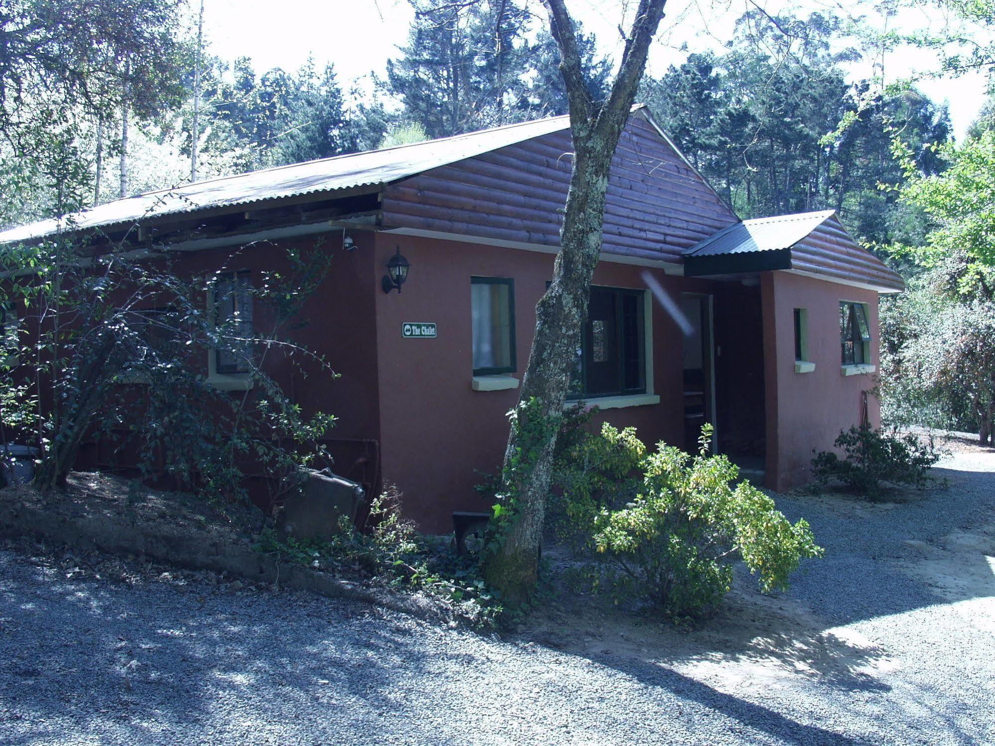 Maple Grove Villa Hogsback Ngoại thất bức ảnh