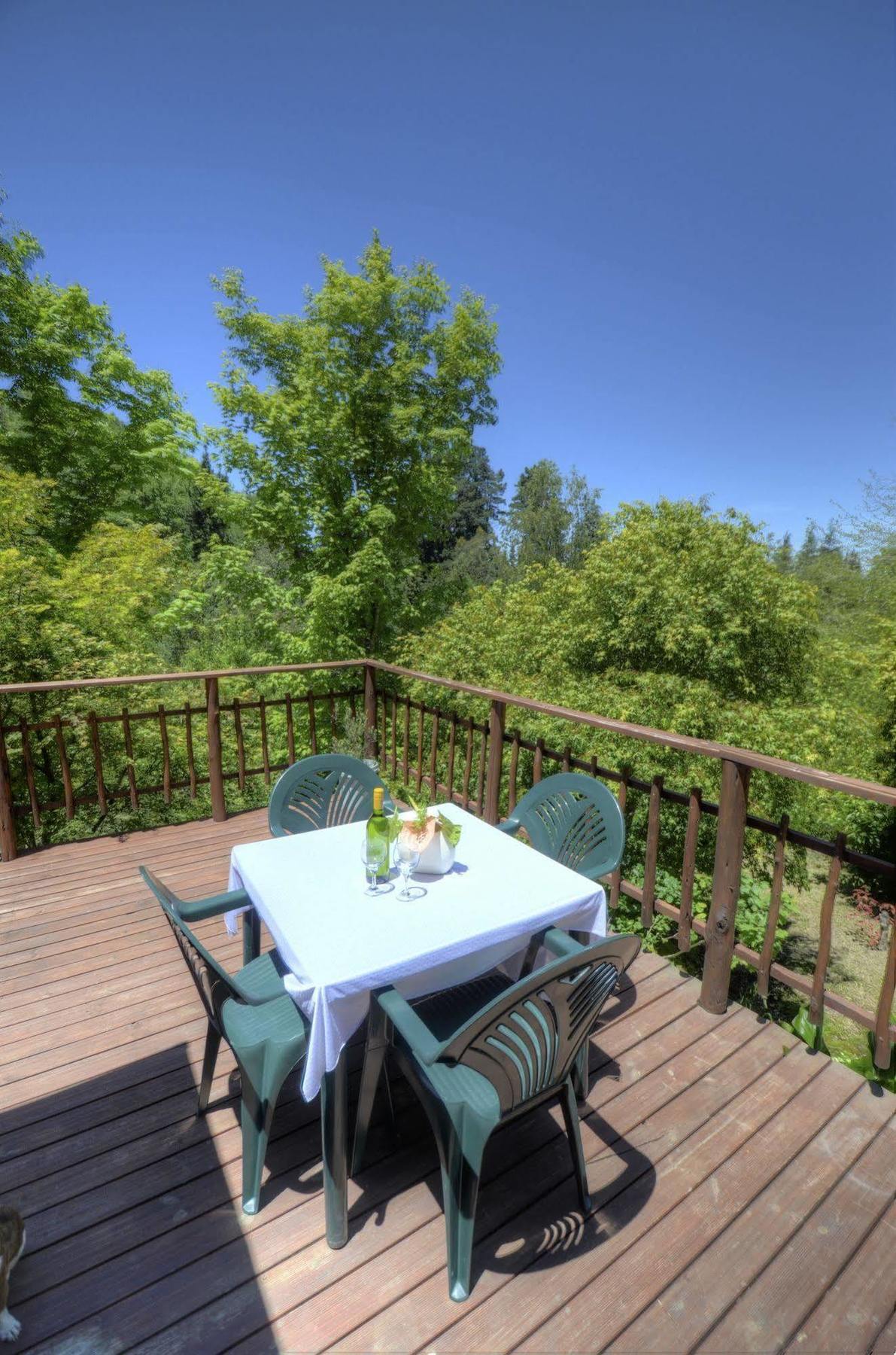 Maple Grove Villa Hogsback Ngoại thất bức ảnh