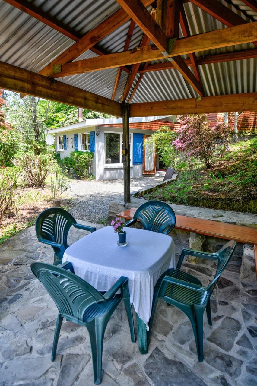 Maple Grove Villa Hogsback Ngoại thất bức ảnh