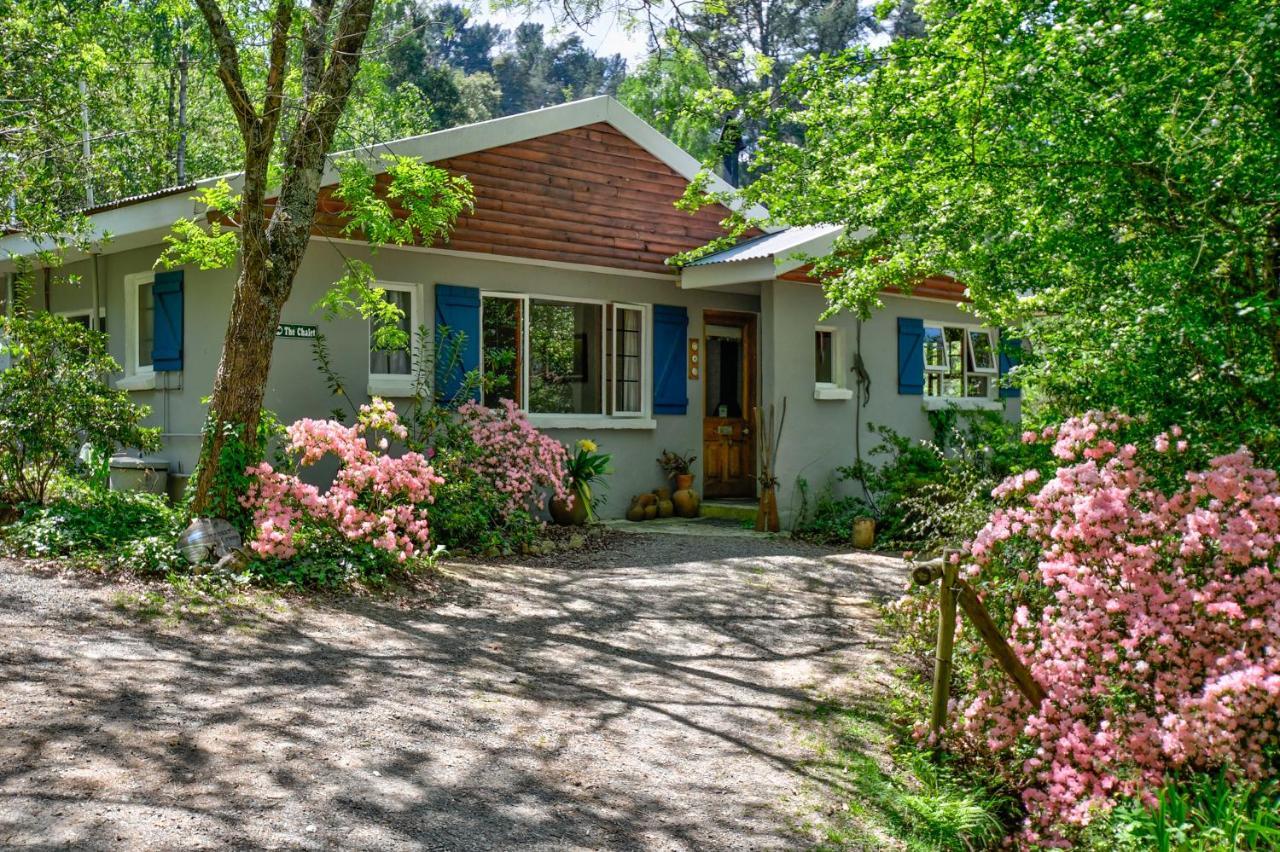 Maple Grove Villa Hogsback Ngoại thất bức ảnh