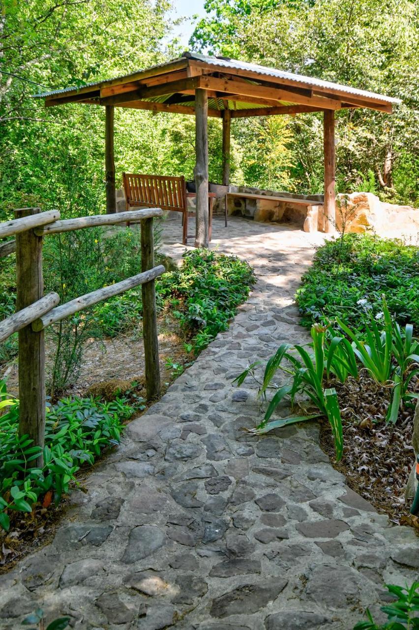 Maple Grove Villa Hogsback Ngoại thất bức ảnh