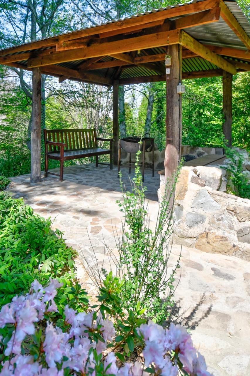 Maple Grove Villa Hogsback Ngoại thất bức ảnh