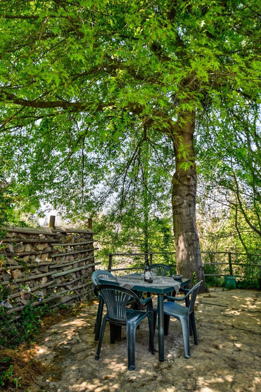 Maple Grove Villa Hogsback Ngoại thất bức ảnh